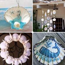 10pcs Natural Scallop Shells - White Sea Shells From The Beach - For DIY Crafts, Home Decor, Vase Filler - Perfect For Coastal Theme - Gift For Crafters & Beach Lovers ￼
