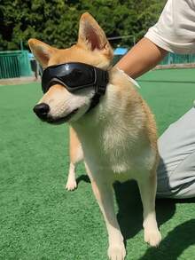 Outdoor Pet Glasses, Premium Cool UV-Protection Sunglasses, Cat Dog Goggles, Suitable For Small/Medium Dogs, S/M Size And Multiple Colors Available For Outdoor Activities