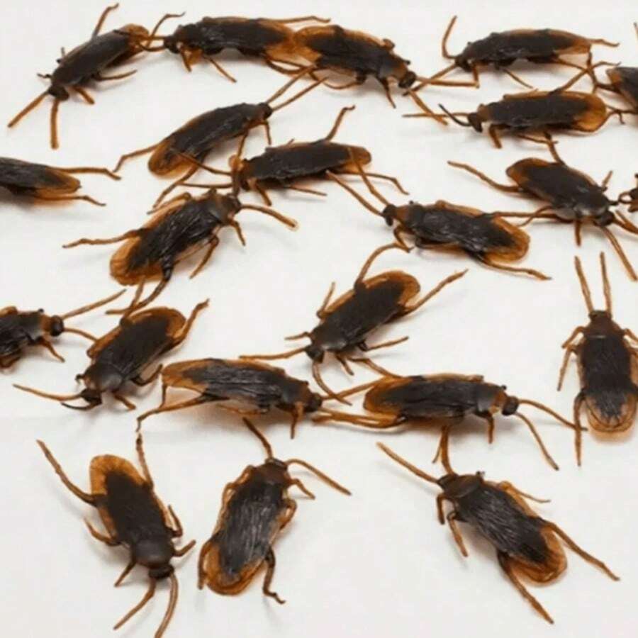 Halloween Ultimate Prank Set - Surreal Fake Cockroaches, Prank Toys, Emotional Impact Spoons - Perfect Multi Pack Party Discounts, Holiday Party Gifts, Christmas - Cockroach - View 1