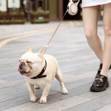 Haustier-Zugseil Hund Ein-Knopf-Bremse automatisch einziehbare Zugvorrichtung Haustier automatisch einziehbares Zugseil Hundelaufseil Hundekette Hundeleine Hundelaufartefakt
