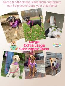 Regalos de Día de San Valentín y Año Nuevo - Diseño de lujo con herrajes de metal de color dorado de alta calidad, arnés de mascota con estampado de moda y 1 placa de identificación a juego de color para cachorros pequeños, medianos y grandes, regalo festivo