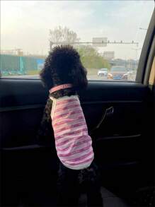 1pc Pet Breathable Vest, Letter Print Mesh Pet Harness For Dog/Cat, Comfortable & Cool, Suitable For Poodles, Yorkies, Schnauzers, Maine Coons, Ragdolls And Other Medium/Small Pets