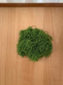 120g/50g/30g/10g Artificial Green Moss, Suitable For Indoor Potted Plants, Can Be Hung Indoors And Outdoors, Garden, Porch, Windowsill, Planter, Home Wedding, Farmhouse, Patio, Window - Multicolor - View 14