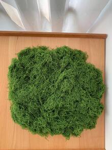 120g/50g/30g/10g Artificial Green Moss, Suitable For Indoor Potted Plants, Can Be Hung Indoors And Outdoors, Garden, Porch, Windowsill, Planter, Home Wedding, Farmhouse, Patio, Window - Multicolor - View 17