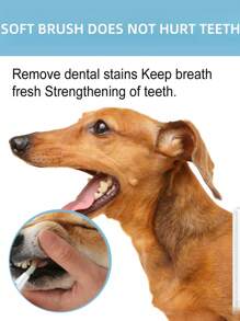 One 5ML Pet Dental Cleaning Pen Pet Toothbrush Pen, Easy To Operate, Can Effectively Clean And Whiten Pet Teeth, Suitable For Cats, Dogs And Other Pets, Natural And Harmless, Pet Teeth Cleaning.Pet Teeth Whitening Pen .Teeth Care,Gel For Pet Teeth Repair