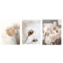 1/3Pcs Botanical Wall Arts, Beige Abstract Flower Canvas Posters Mural Decoration Beige Abstract Art Neutral Plant Printing,Optional Frame,Suitable For Living Room, Bedroom, Kitchen, Dining Room, Bathroom, Office Decoration ,Wall Art With Frame