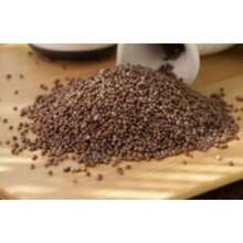 Horticulture Nature Mustard Ghost Pepper Seeds - Default - View 5