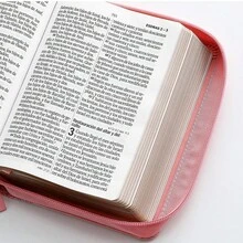 Biblia RV1960 compacto rosa floral imitacion piel con zipper, letra 12 puntos - Libro único - Ver 4
