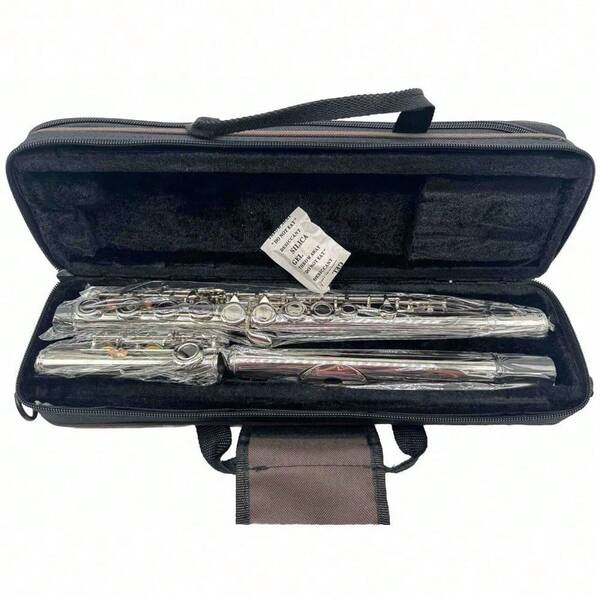 Eastar EFL-1S Closed Hole Flute 16 Keys C Flute For Beginner