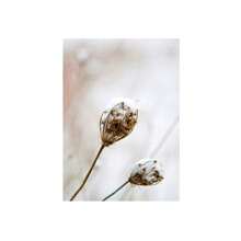 1/3Pcs Botanical Wall Arts, Beige Abstract Flower Canvas Posters Mural Decoration Beige Abstract Art Neutral Plant Printing,Optional Frame,Suitable For Living Room, Bedroom, Kitchen, Dining Room, Bathroom, Office Decoration ,Wall Art With Frame