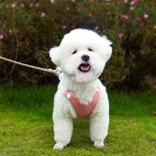 Dog Harness With Leash Set, No Pull Adjustable Reflective Step-In Puppy Pet Vest Harnesses For Small Medium Large Dogs And Cats