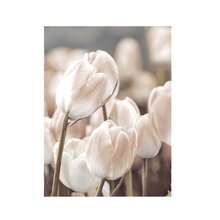 1/3Pcs Botanical Wall Arts, Beige Abstract Flower Canvas Posters Mural Decoration Beige Abstract Art Neutral Plant Printing,Optional Frame,Suitable For Living Room, Bedroom, Kitchen, Dining Room, Bathroom, Office Decoration ,Wall Art With Frame