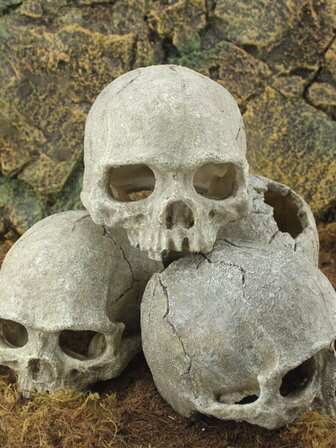 1pc Aquarium Skull Reptile Tank Accessories Snake Hide Decor Habitat