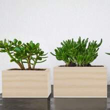 1/4pcs Unpainted Wooden Desktop Storage Box, Square Retro Small Wooden Box Crafts Storage Box, Suitable For Storage, Home Decor, Art Collection, Desktop Decor, Succulent Planter, Drawers, DIY Crafts - Multicolor - View 7