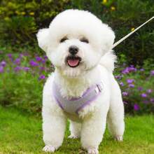 Dog Harness With Leash Set, No Pull Adjustable Reflective Step-In Puppy Pet Vest Harnesses For Small Medium Large Dogs And Cats