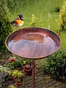 1pc Vintage Style Metal Bird Bath, With Sturdy Base - Cast Iron Outdoor Bird Feeder, No Power Required, Outdoor Metal Bird Bath Stand, Garden Yard Pedestal Bird Feeder, Decor For Home, Suitable As Gift