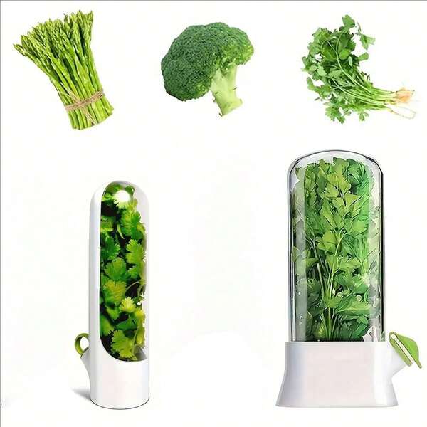 قطعة واحدة صندوق حفظ الخضروات ، حاوية حفظ الفانيليا والكزبرة الطازجة ، مناسب لتخزين الكزبرة والنعناع والبقدونس والهليون ، مناسب للاستخدام في الثلاجة. يحافظ على بقاء الفانيليا المعبأة طازجة. تخزين النعناع في الثلاجة يحافظ عليه أخضر وطازجاً لمدة 2-3 أسابيع. لوازم مطبخ الثلاجة