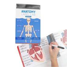 1 pièce Livret de travail coloré avec étiquettes d'anatomie, plus de 100 pages et pages effaçables - Guide d'apprentissage essentiel pour pratiquer la terminologie anatomique, plus de 100 diagrammes anatomiques, outil d'apprentissage de l'anatomie | Facile à feuilleter | Pages [couleur aléatoire], fournitures scolaires, rentrée scolaire
