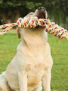 [1pc Durable Dog Toy] 1pc Durable Braided Rope Dog Toy | Interactive Chew And Tug Play, All-Breed Friendly | Random Color Design, Large Breeds, Puppy Toys
