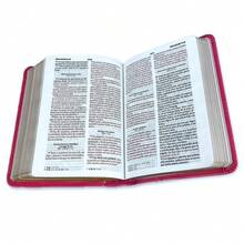 Bible In Spanish Pocketsize 8 Point Reina Valera 1960 Imitation Leather Fuchsia - Default - View 3