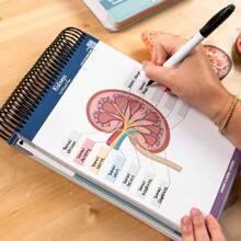 1 pièce Livret de travail coloré avec étiquettes d'anatomie, plus de 100 pages et pages effaçables - Guide d'apprentissage essentiel pour pratiquer la terminologie anatomique, plus de 100 diagrammes anatomiques, outil d'apprentissage de l'anatomie | Facile à feuilleter | Pages [couleur aléatoire], fournitures scolaires, rentrée scolaire