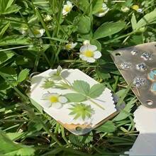 معرض الأزهار الدقيقة، طقم معرض الأزهار المعدني للميكروويف، الأزهار الميني اليدوية للضغط و الحفظ، حافظة مصغرة لحفظ النباتات المضغوطة للفنون والأشغال اليدوية، هدايا لعشاق النباتات