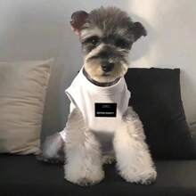 1pc Pet Spring/Summer Personalized Vest, Dog/Cat Breed English Print Cool Pet Top, Lightweight Anti-Sweat, Suitable For Schnauzer, Teddy, Pomeranian, Maine Coon, Tabby Etc. Medium/Small Cats & Dogs