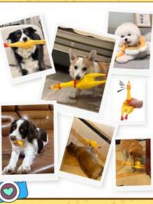 1 szt. Nowe zabawki dla psów z piszczącym dźwiękiem, wrzeszczący kurczak, zabawka do żucia dla psa, zabawna żółta gumowa zabawka z odpowietrznikiem, kurczak 16 cm, 29 cm, 35 cm