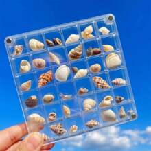 Caixa de Armazenamento Acrílica para Coleção de Espécimes de Mini Conchas, Joias de Unha de Diamante, 36/64 Grades, Quadrada de 36 Células Transparente, Caixa de Armazenamento de Unhas Portátil para Pequenos Acessórios e Arte de Mesa, para Colecionadores Exibirem Peças, Estilo Aleatório (Sem Conchas Incluídas)