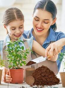 20 Stück (30 mm) komprimierte Kokosfaser-Topferde Saat-Starter - Organische Kokosfaser-Pellet-Erde zum Anpflanzen von Bonsai, Kräutern, Pflanzen, Blumen und Gemüse