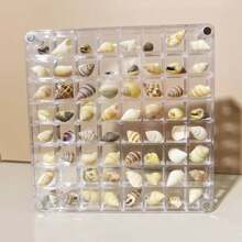 Caixa de Armazenamento Acrílica para Coleção de Espécimes de Mini Conchas, Joias de Unha de Diamante, 36/64 Grades, Quadrada de 36 Células Transparente, Caixa de Armazenamento de Unhas Portátil para Pequenos Acessórios e Arte de Mesa, para Colecionadores Exibirem Peças, Estilo Aleatório (Sem Conchas Incluídas)