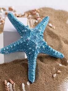 4Pcs/Set Blue Starfish Decorative Home Accessories,Resin Statue Art Crafts Ornaments For Living Room,Shelf Decor Outdoor Patio Decor
