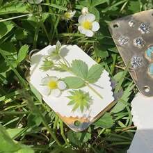 معرض الأزهار الدقيقة، طقم معرض الأزهار المعدني للميكروويف، الأزهار الميني اليدوية للضغط و الحفظ، حافظة مصغرة لحفظ النباتات المضغوطة للفنون والأشغال اليدوية، هدايا لعشاق النباتات