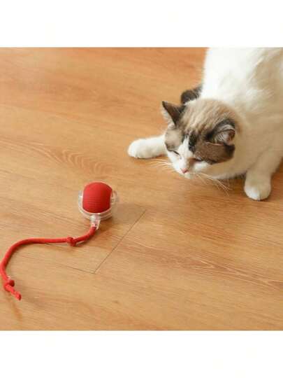 Long Tail USB Rechargeable Interactive Ball Cat Toy, Cat Training Toy To Improve Observation And Catching Ability, Suitable For All Cat Breeds, Essential For Cat Parents, Battery Capacity: 150mAh
