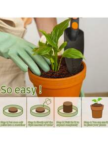 20 Stück (30 mm) komprimierte Kokosfaser-Topferde Saat-Starter - Organische Kokosfaser-Pellet-Erde zum Anpflanzen von Bonsai, Kräutern, Pflanzen, Blumen und Gemüse