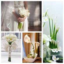Bó hoa cưới hoa loa kèn Calla Lily, hoa giả bằng nhựa latex, thích hợp trang trí Ngày của Mẹ, Lễ Phục Sinh, nhà cửa, nhà bếp, đám cưới, cắm hoa mùa xuân, trang trí bàn tiệc và đám cưới. - trắng - Xem 6
