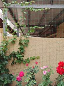 1 件园艺植物攀爬架，适用于攀爬植物、藤蔓、黄瓜、玫瑰等。 - 綠色 - 查看 3