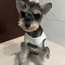 1pc Pet Spring/Summer Personalized Vest, Dog/Cat Breed English Print Cool Pet Top, Lightweight Anti-Sweat, Suitable For Schnauzer, Teddy, Pomeranian, Maine Coon, Tabby Etc. Medium/Small Cats & Dogs