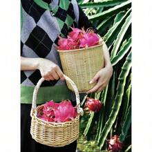 300 piezas Semillas de pitahaya (fruta del dragón) mezcladas, fruta dulce y jugosa comestible, regalo para jardinería, equipo de supervivencia, semillas comestibles, fácil de cultivar - 300 semillas - Ver 7