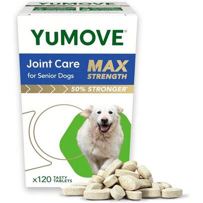 YuMOVE Max Strength Joint Supplement For Senior Dogs, Hip & Joint Aid With Glucosamine, Chondroitin & Green Lipped Mussel, Age 8+, 120 Tablets