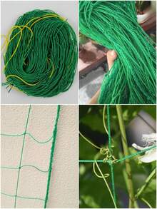 1 件园艺植物攀爬架，适用于攀爬植物、藤蔓、黄瓜、玫瑰等。 - 綠色 - 查看 9