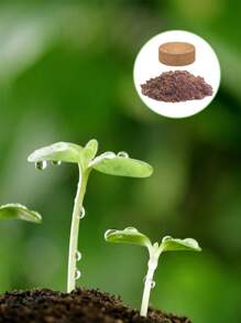 20 Stück (30 mm) komprimierte Kokosfaser-Topferde Saat-Starter - Organische Kokosfaser-Pellet-Erde zum Anpflanzen von Bonsai, Kräutern, Pflanzen, Blumen und Gemüse