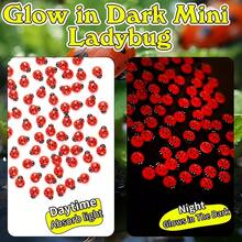 5/50个发光迷你瓢虫摆件，树脂动物装饰，适用于仙女花园微景观、蛋糕装饰、微缩模型、花园摆件、仙女花园、户外装饰、仙女花园配件、家居装饰，可用作夜灯，圣诞礼物、女士礼物、返校用品、教室装饰 - 彩色 - 查看 5