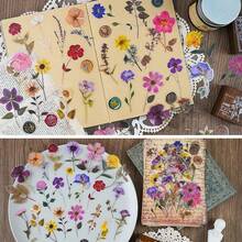 A Bộ đồ Của Nhấn Hoa Theo chủ đề Hình dán Bộ ( 320 ) Hoa khô Nhựa Hình dán Giấy dán Hoa Thực vật Viết nhật ký Hình dán Đối với Sổ lưu niệm Quân nhu Tạp chí Đạn Tạp chí Người dự định Máy tính xách tay - Nhiều màu - Xem 5