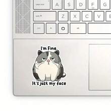 1PC 3 Inch Removable Outdoor Waterproof Vinyl Creative Gift Sticker Featuring Cat With "I'm Fine. It's Just My Face" Design, Fashion Sticker - Multicolor - View 6