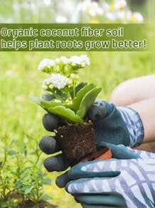 20 Stück (30 mm) komprimierte Kokosfaser-Topferde Saat-Starter - Organische Kokosfaser-Pellet-Erde zum Anpflanzen von Bonsai, Kräutern, Pflanzen, Blumen und Gemüse