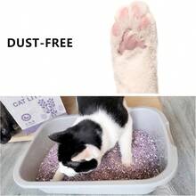 Tofu Cat Litter DustFree Kitty Litter Fast Drying Ultra Absorbent Clumping Cat Litter Pellets Lavender Odor Control L Scattering DustFree Mixed. - 2Pack - View 3