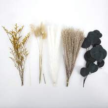 26 PCS Natural Dried Pampas Grass Reed Flowers Eucalyptus Qing Rencao Bouquet - Multicolor - View 7