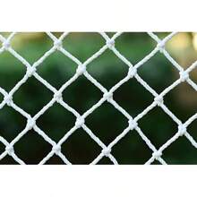 Lattice
