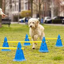 Speed Training Parachute/Resistance Parachute